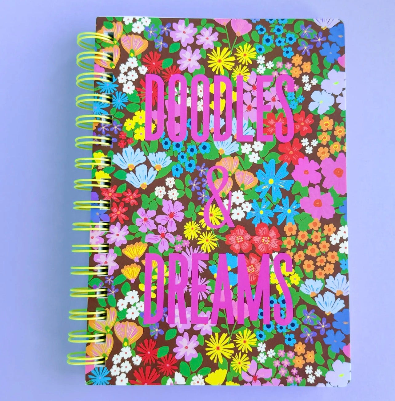 DOODLES & DREAMS NOTEBOOK