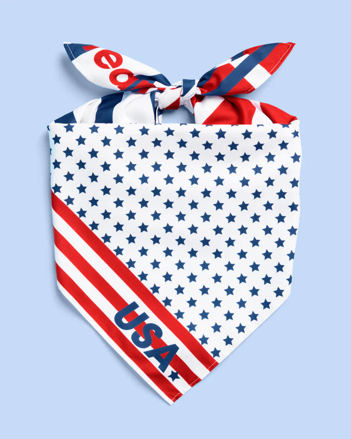 USA TEAM BANDANA