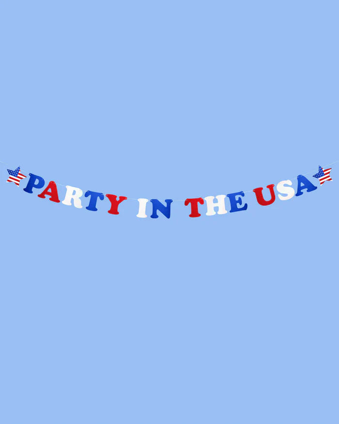 PARTY IN THE USA BANNER