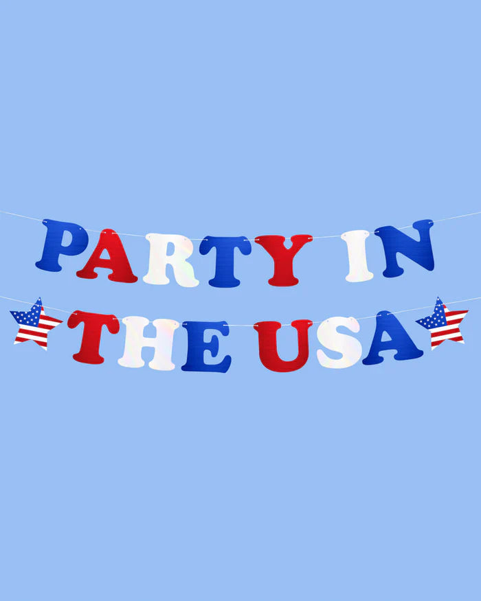 PARTY IN THE USA BANNER