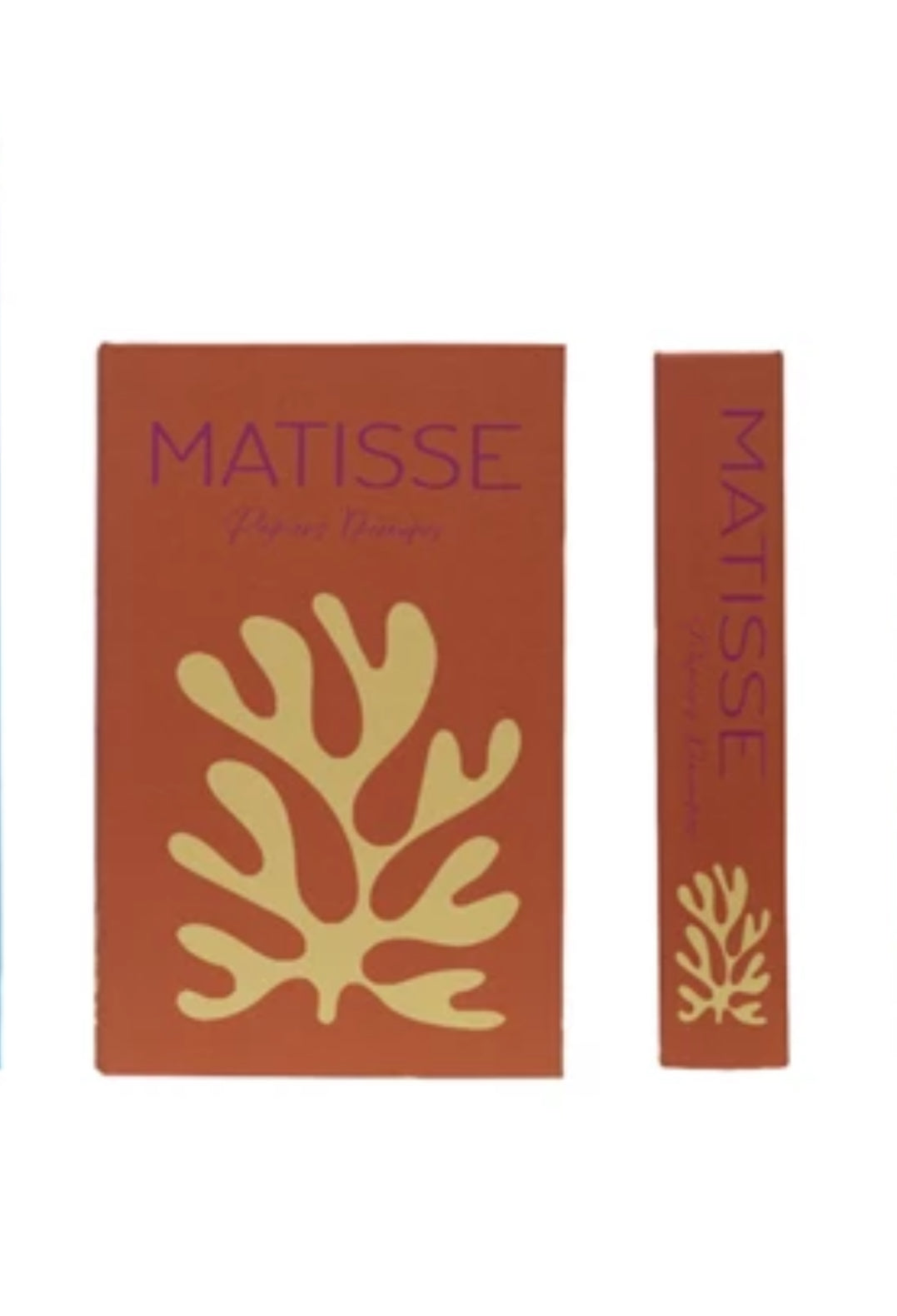 MATISSE BOOK BOX