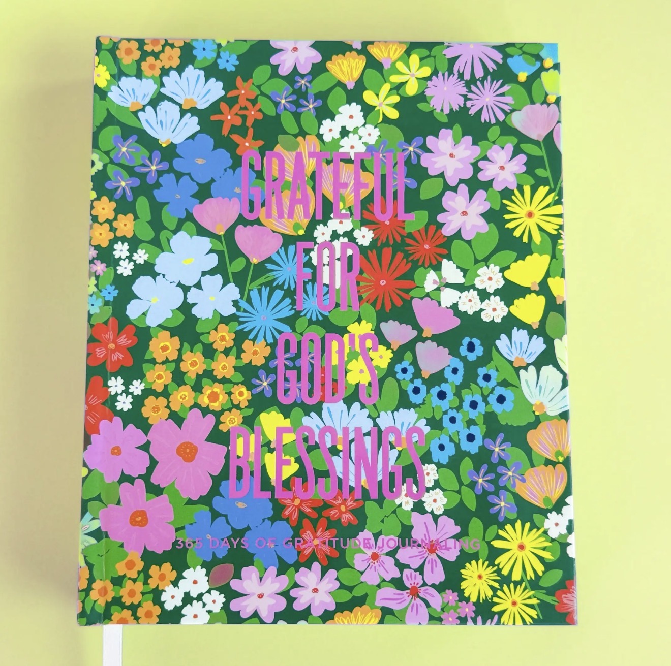 CHLOE GRATITUDE JOURNAL