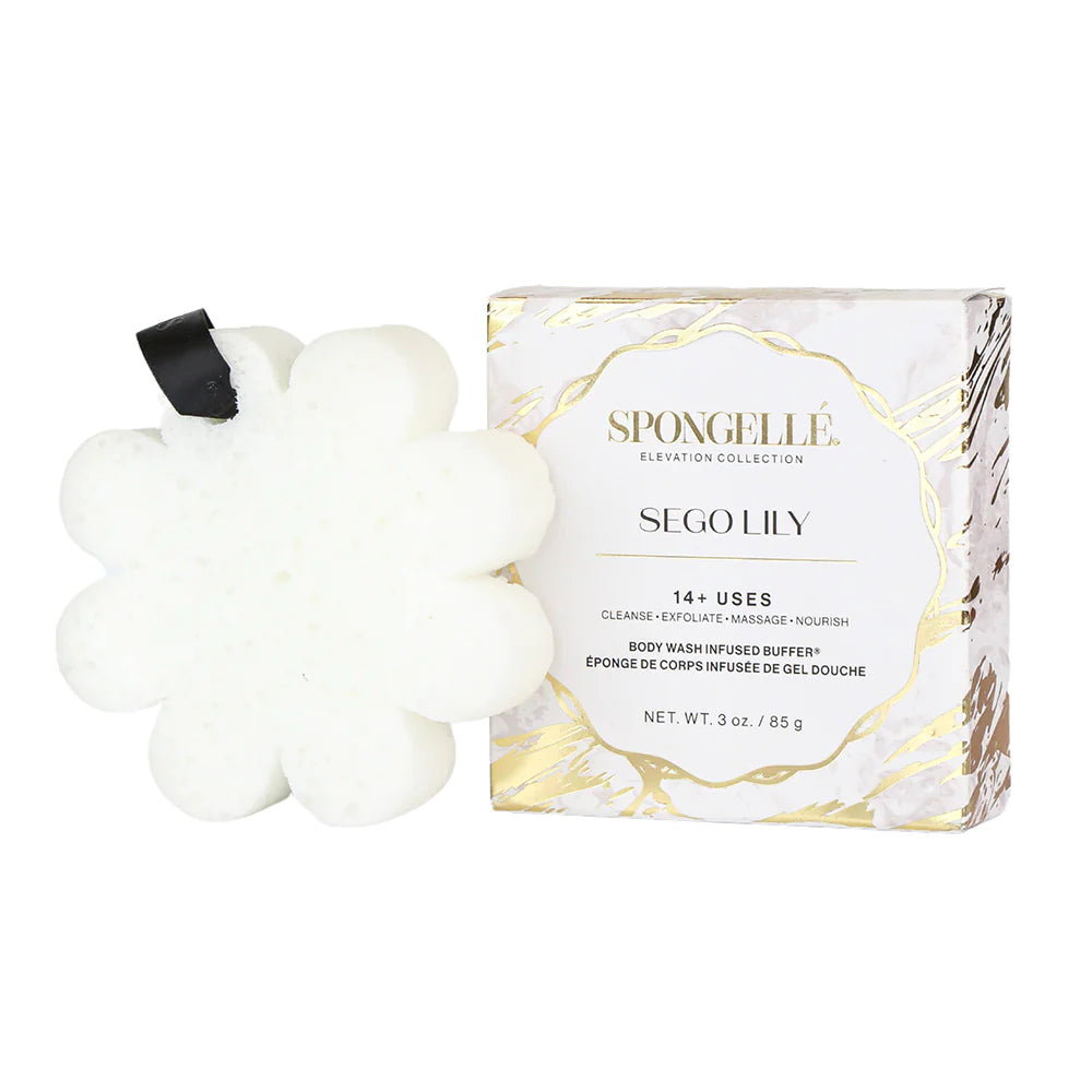 SPONGELLE-SEGO LILY BOXED FLOWER