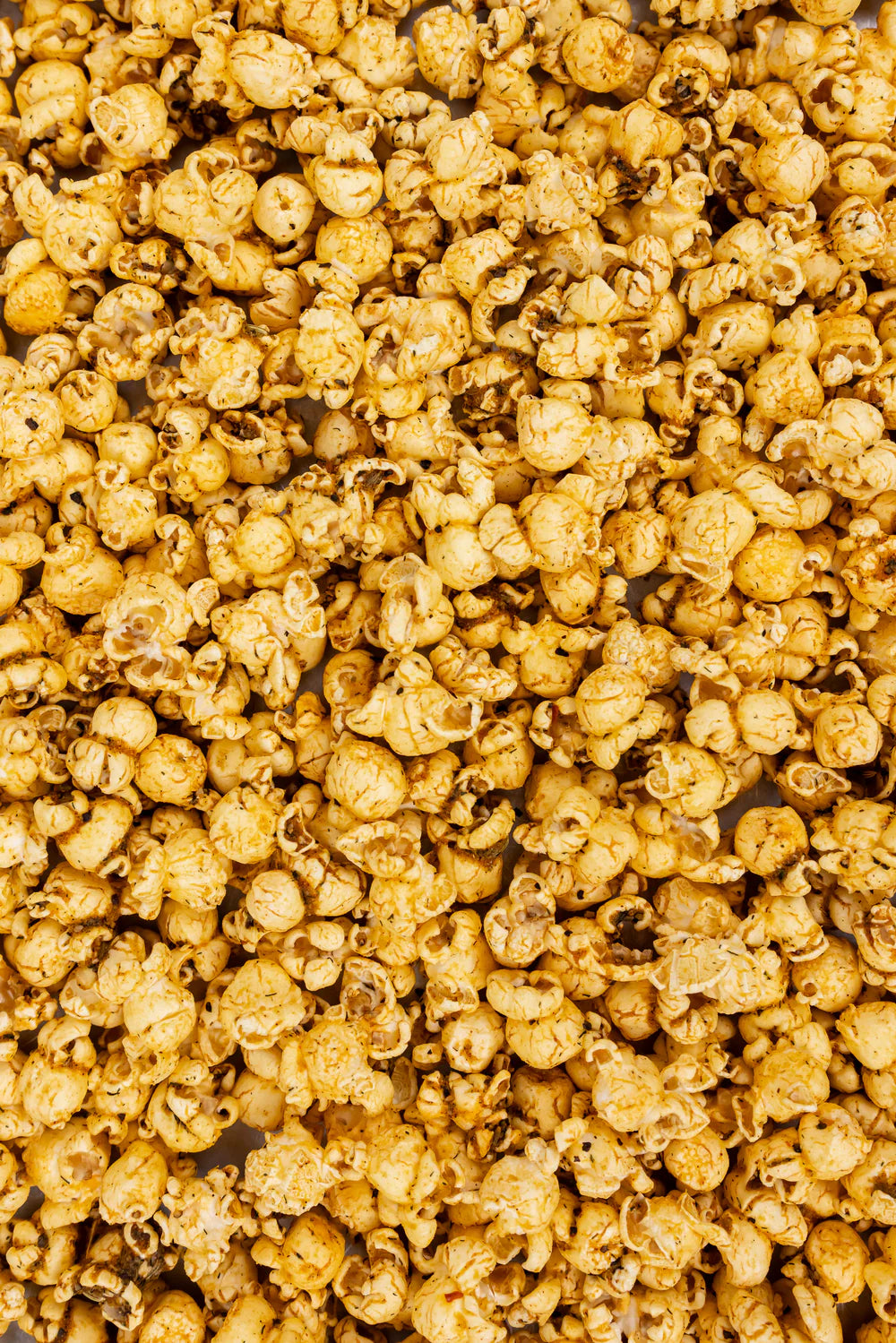 POPPY HANDCRAFTED POPCORN-BACKYARD COOKOUT